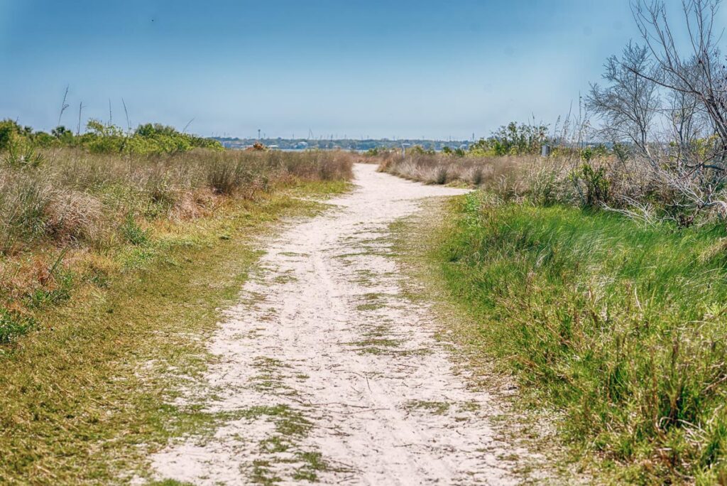 honeymoon island state park