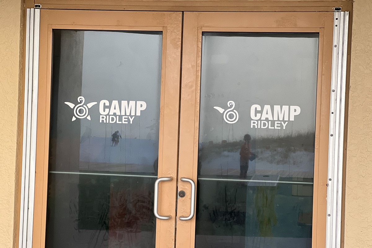 camp ridley kids club at sandpearl resort