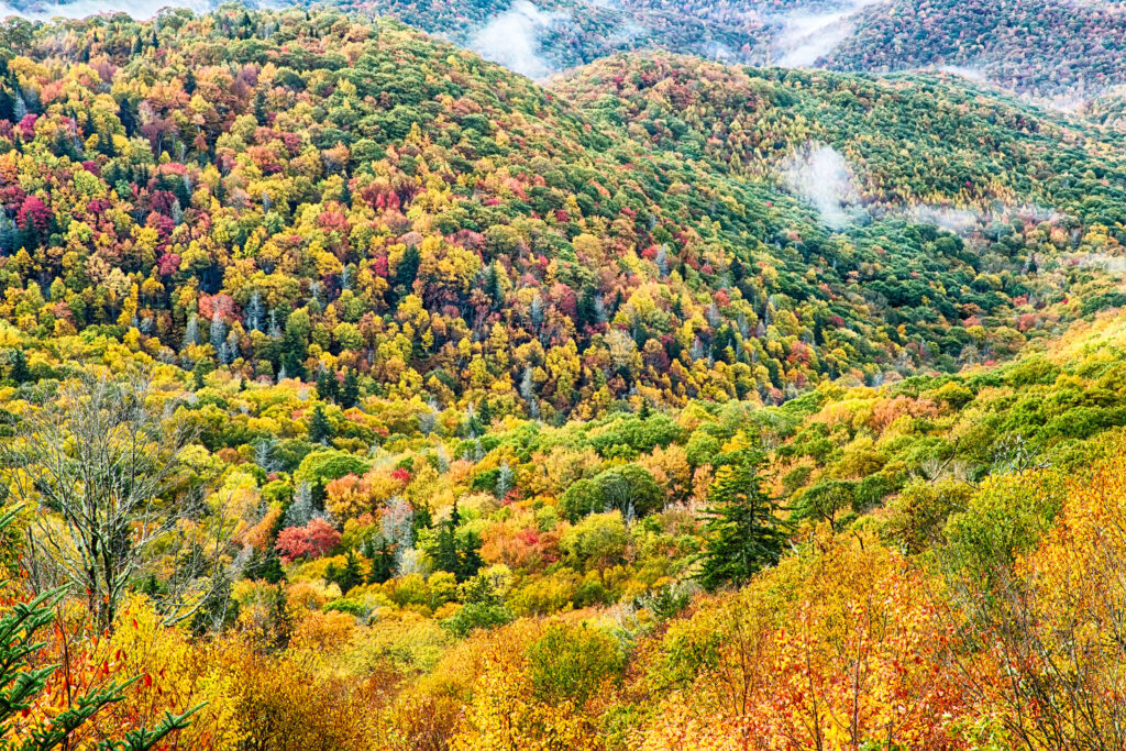 Blue Ridge Parkway National Park Sunrise Scenic Mountains Autumn Landscape