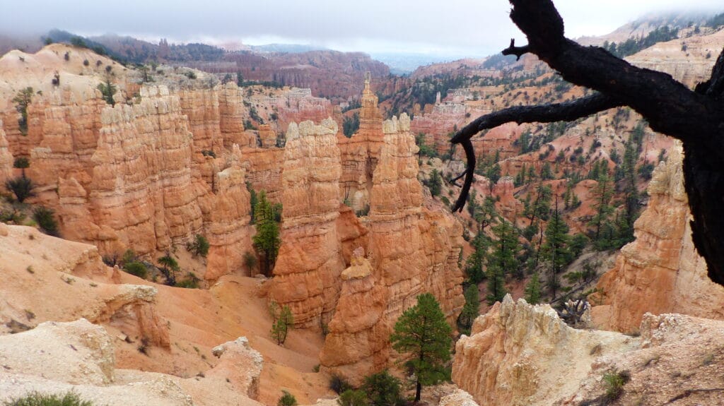 the photo shows a fantastic view of the red rock needles in Bruce Canyon National Park in Utah, USA