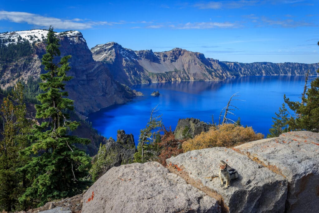 squirrel on wall overlooking Crater Lake National Park, Oregon, USA