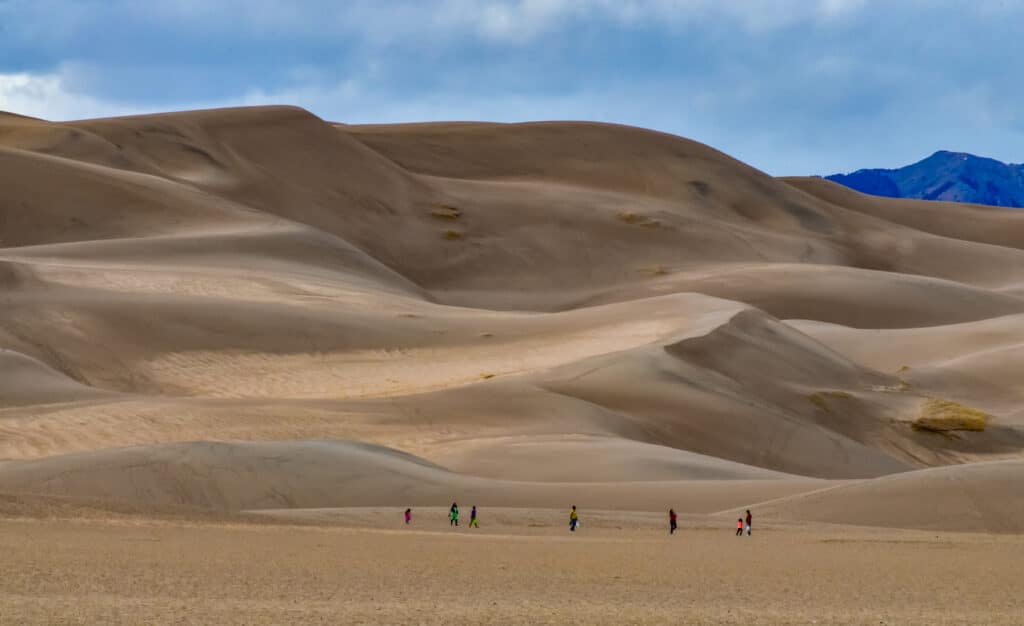 Desert landscape, Great Sand Dunes National Park, Colorado, USA