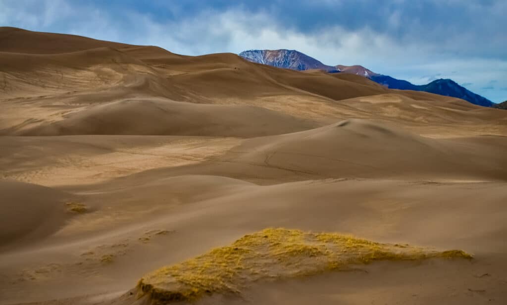 Desert landscape, Great Sand Dunes National Park, Colorado, USA