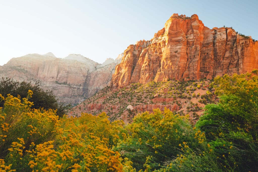 Zion National Park, beautiful fall season