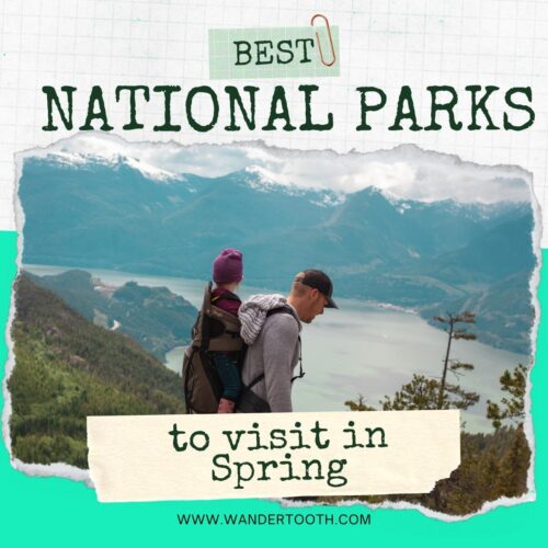 best national parks to visit in spring