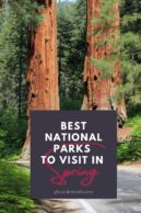 best national parks to visit in spring