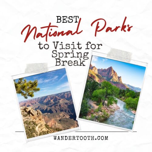 best national parks to visit for Spring Break