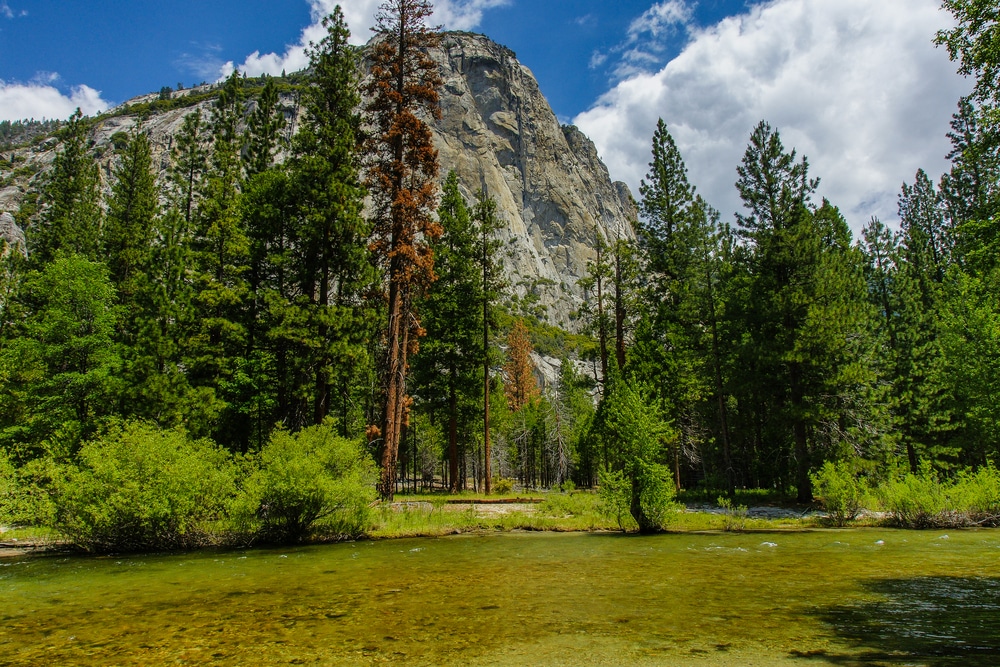 Zumwalt Meadow in Kings Canyon National Park in California, United States