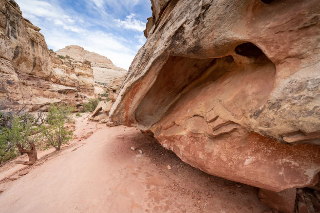 Sandstone slickrock scenery along the Hickman Bridge trail in Captiol Reef National Park on a cloudy spring day