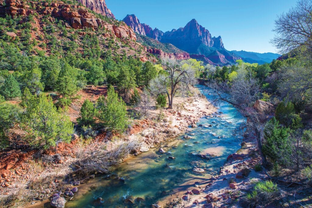 Spring in Zion National Park. Virgin River. Utah, United States.