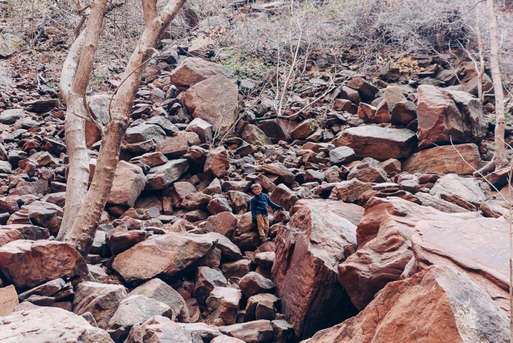 boy hiking Upper Emerald Pools Trail at Zion