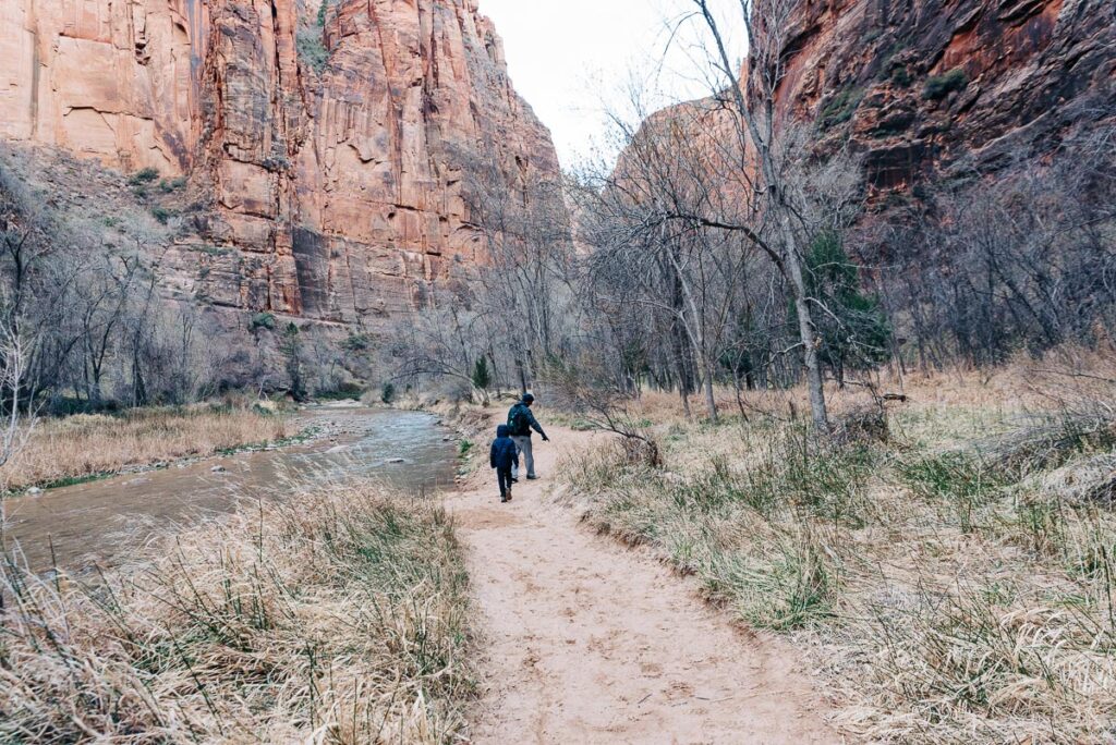 Riverside Walk Trail at Zion National Park