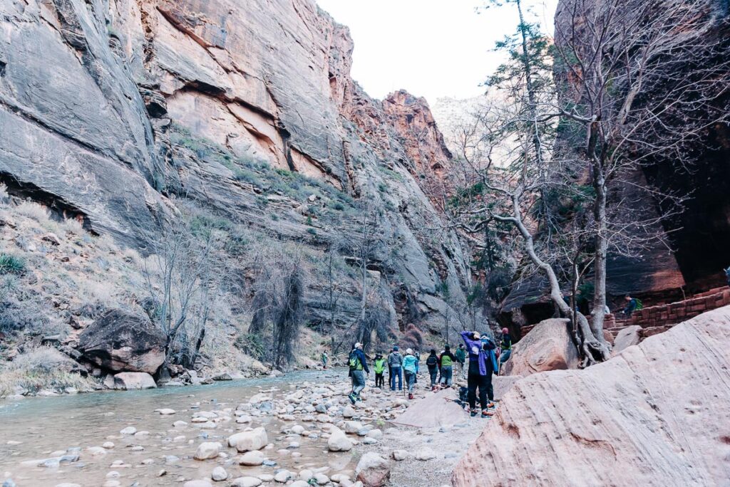 hikers going into the Narrows at Zion National Park