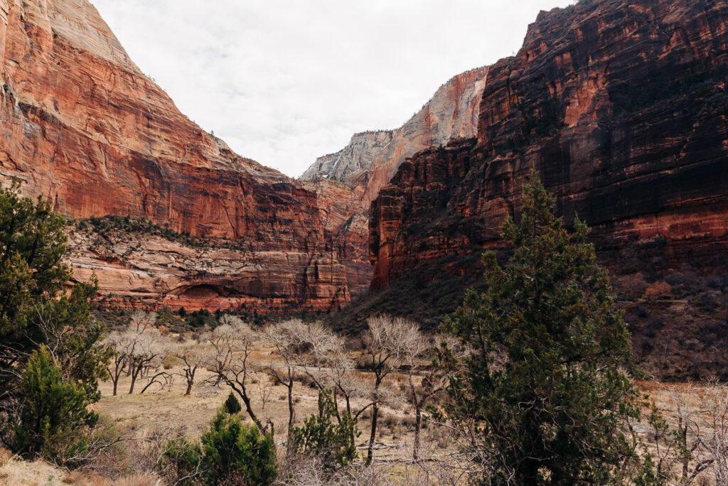 view from Big Bend at Zion