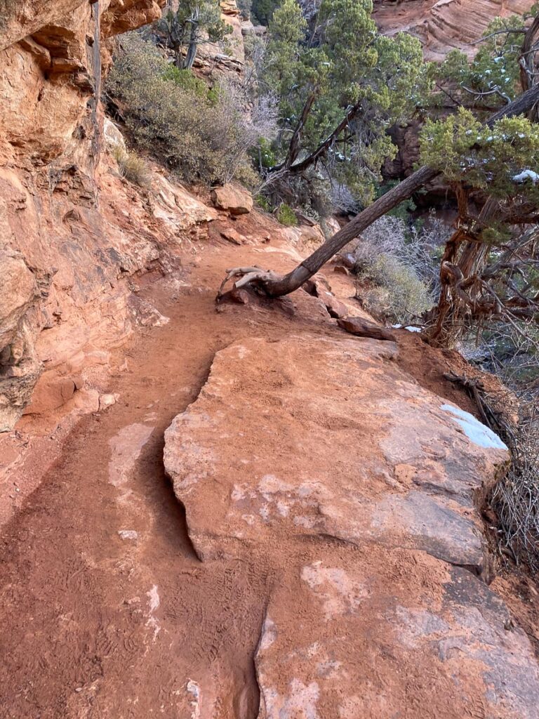 Canyon Overlook Trail at Zion National Park