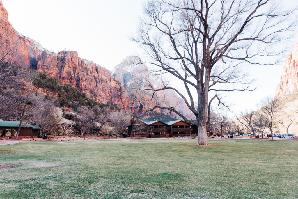 lawn of Zion Lodge