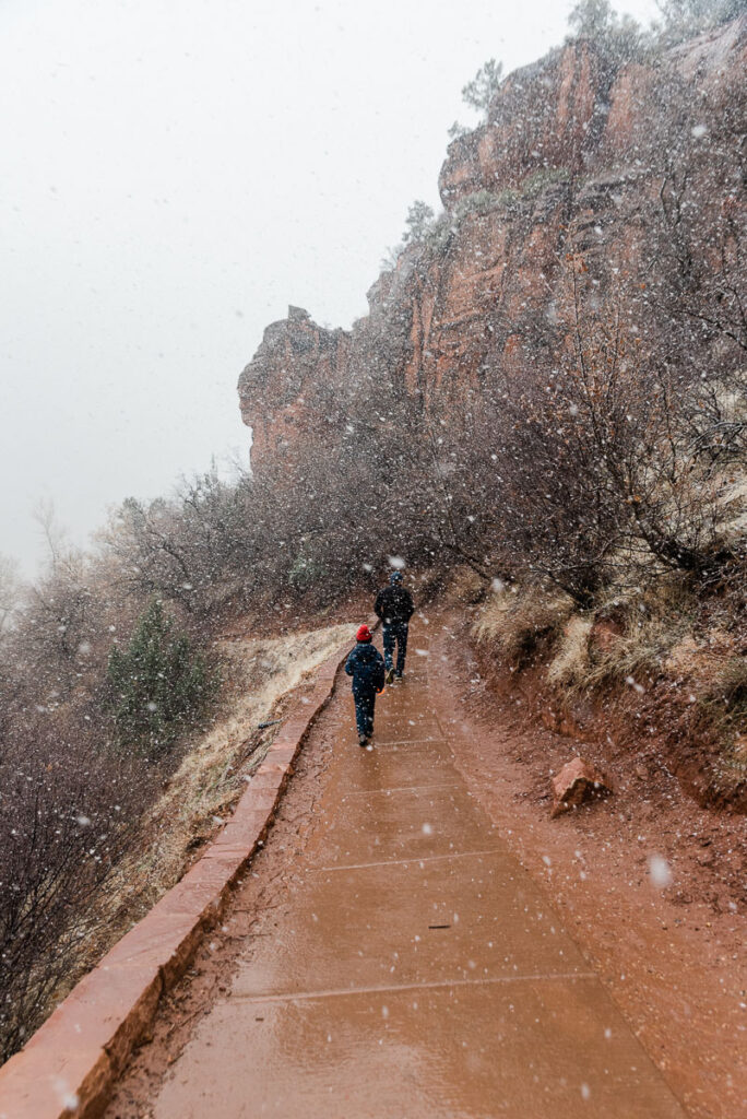 snowing on Emerald Pools Trail at Zion