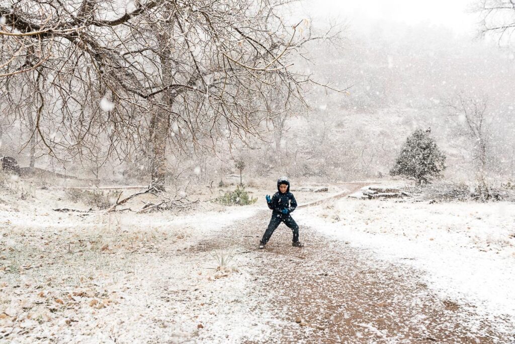 snowy day at Zion Lodge