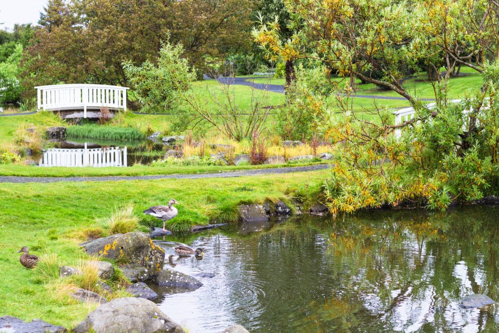 botanical garden in Reykjavik