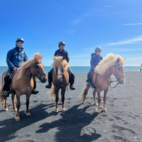 horseback riding in Iceland