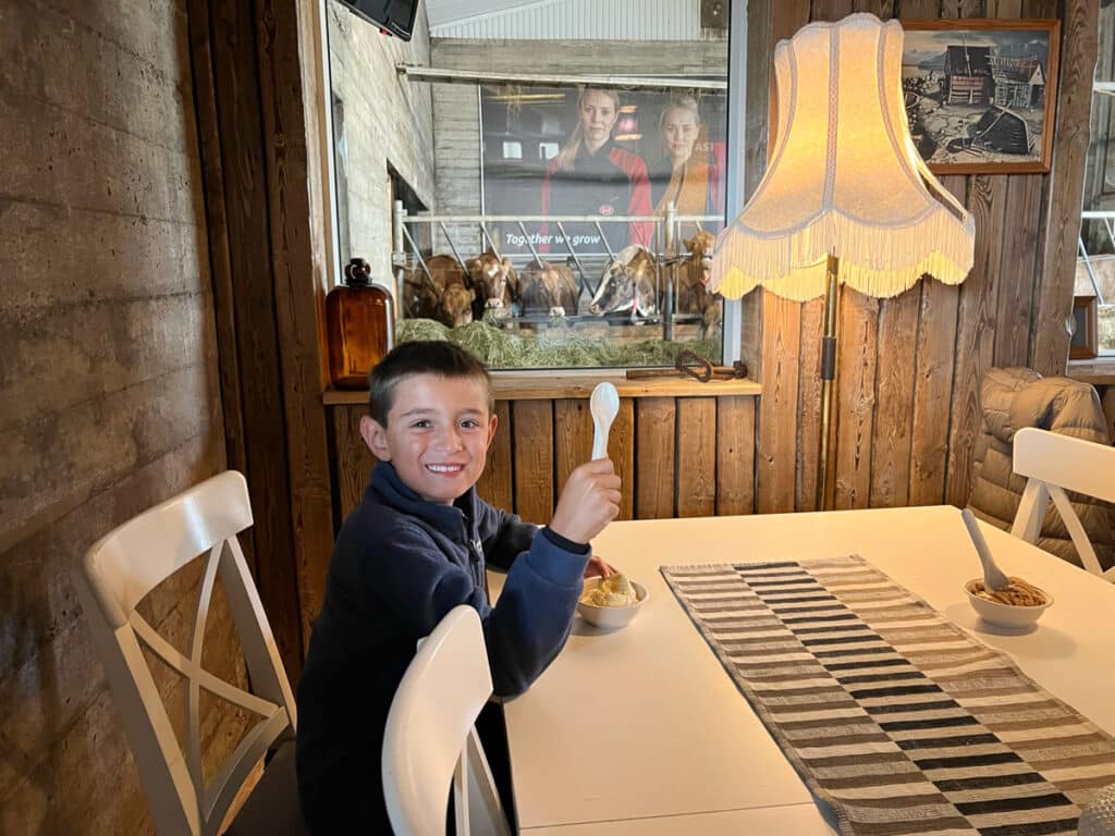 my son at Efstidalur II ice cream barn