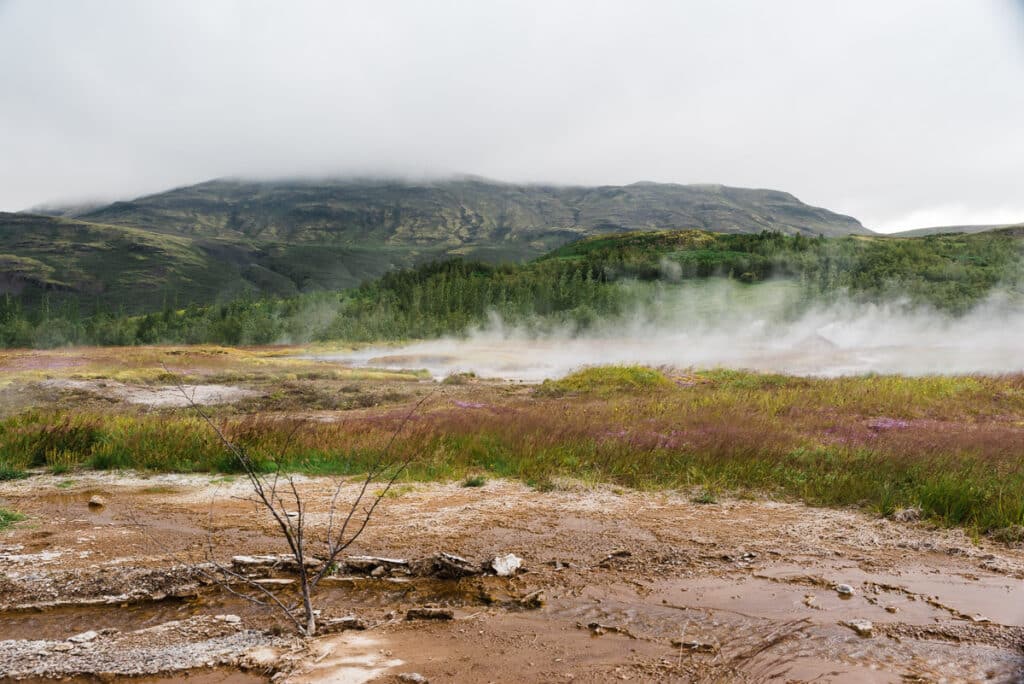 Geysir Hot Springs area