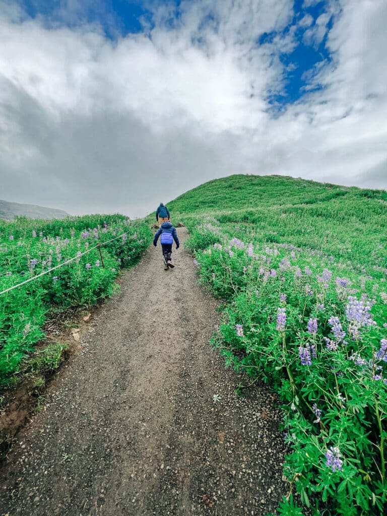 hiking to the viewpoint at Geysir Hot Springs