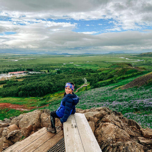 view from above Geysir Hot Springs Area