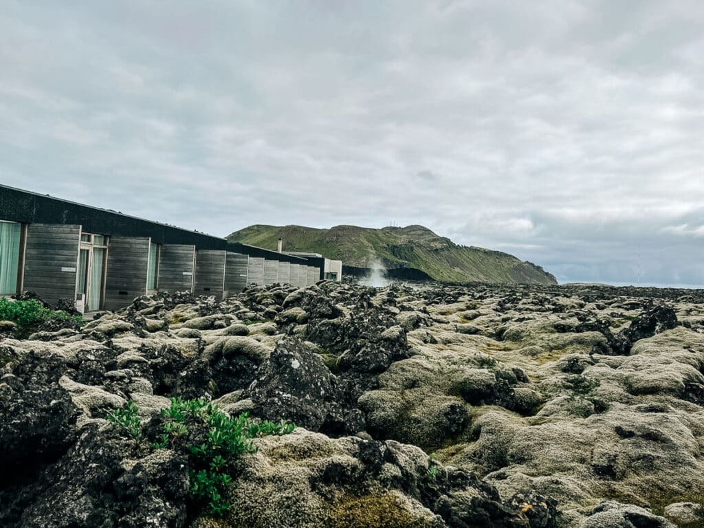 Lava field surrounding Silica Hotel at Blue Lagoon in Iceland