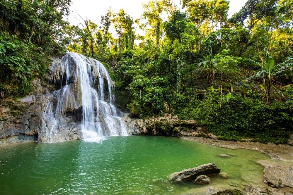 Puerto Rico nature