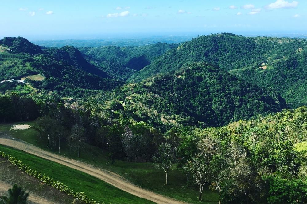 scenic road in Puerto Rico