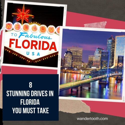 best scenic drives in Florida