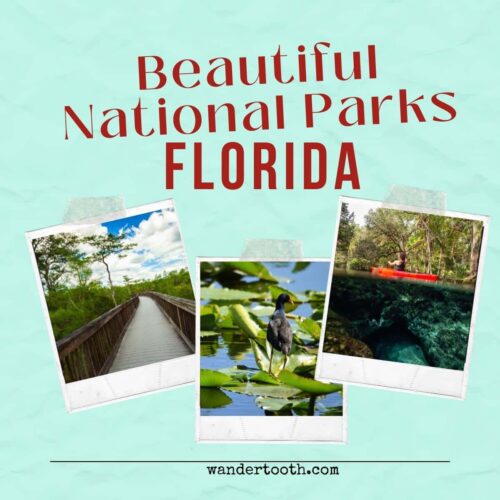 incredible national parks in Florida