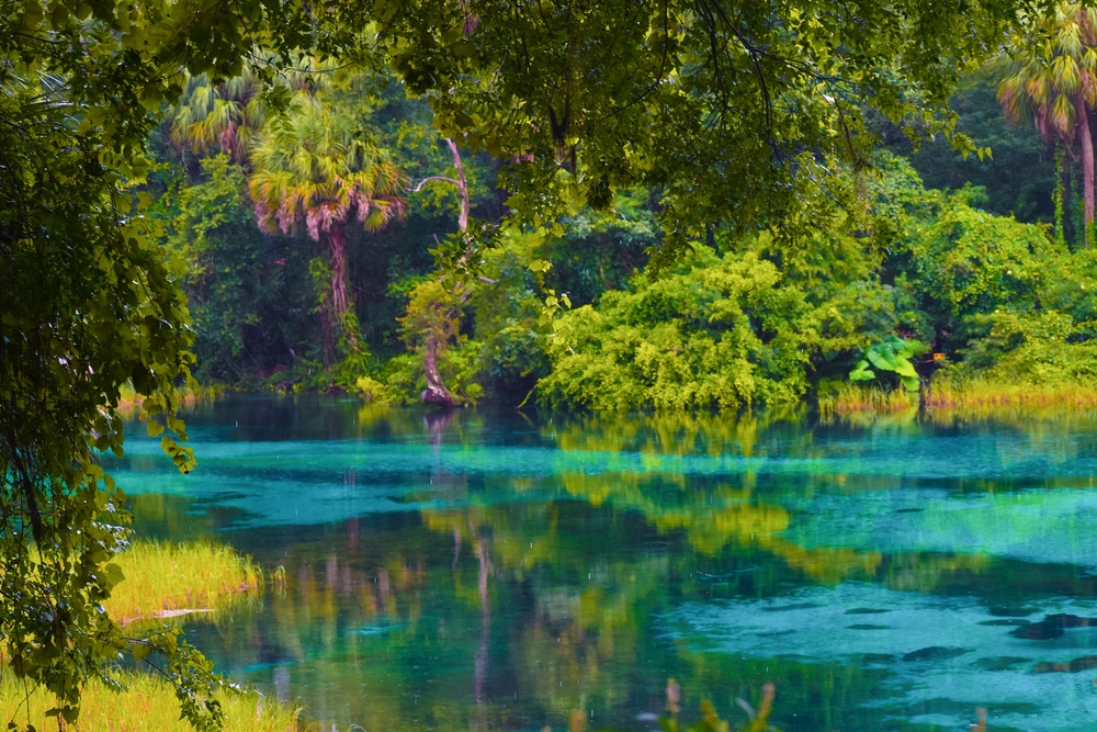 Rainy day at Rainbow Springs State Park in Florida