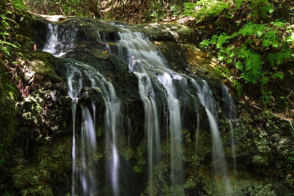 Falling Waters State Park is a must in your Florida bucket list