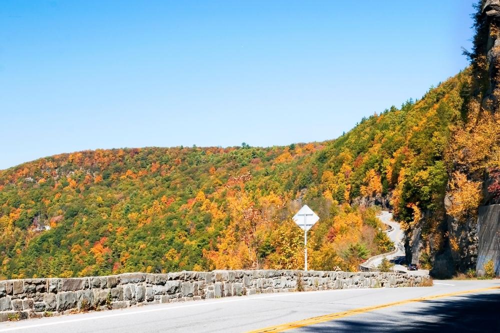 Drive through scenic winding roads through the Jacinto Reyes Scenic Byway