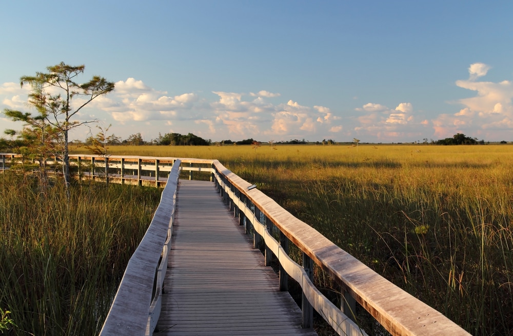 Everglades National Park in Florida