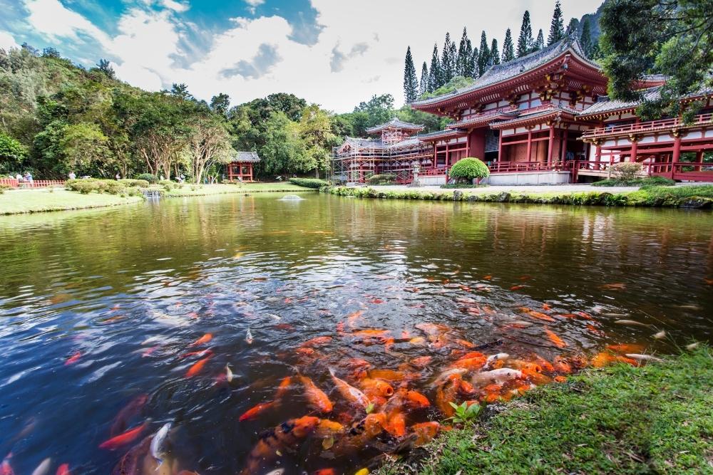 Byodo-In Temple 