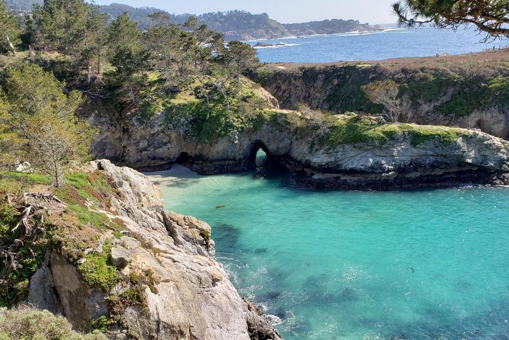 Point Lobos State Natural Reserve