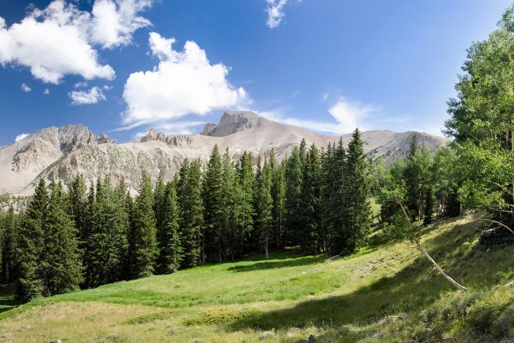 Great Basin National Park, Baker, Nevada