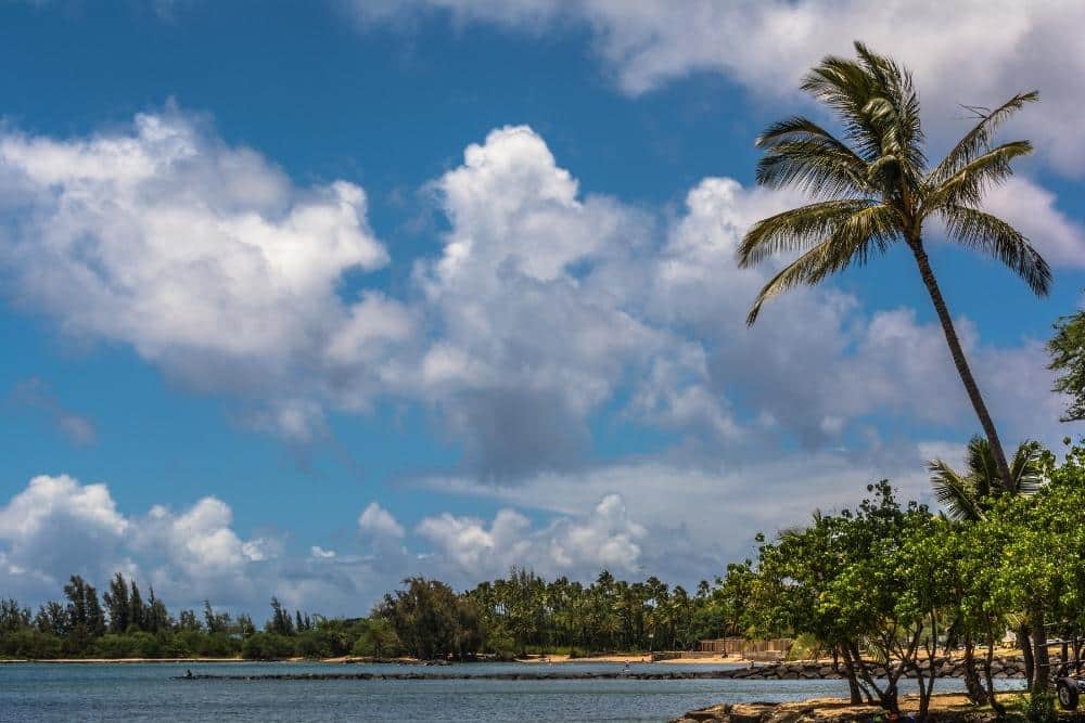 Haleiwa Beach Park