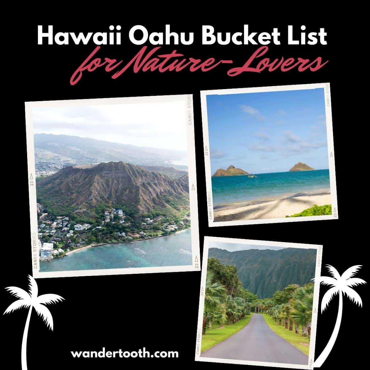 The Dream Hawaii Oahu Bucket List For NatureLovers Wandertooth Travel