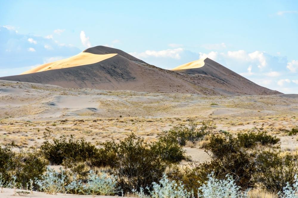 Mojave National Preserve