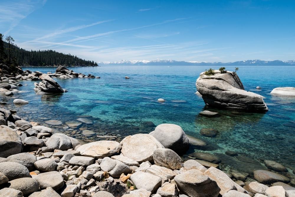 Bonsai Rock 