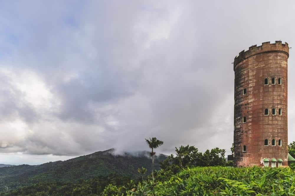 EL Yunque National Forest in Puerto Rico