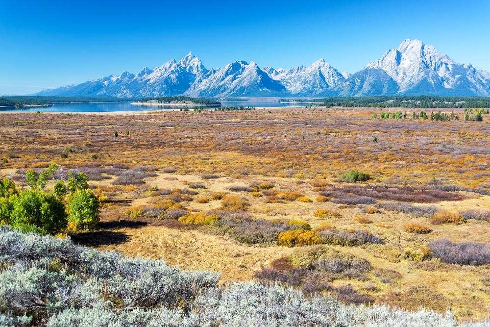 Grand Teton 