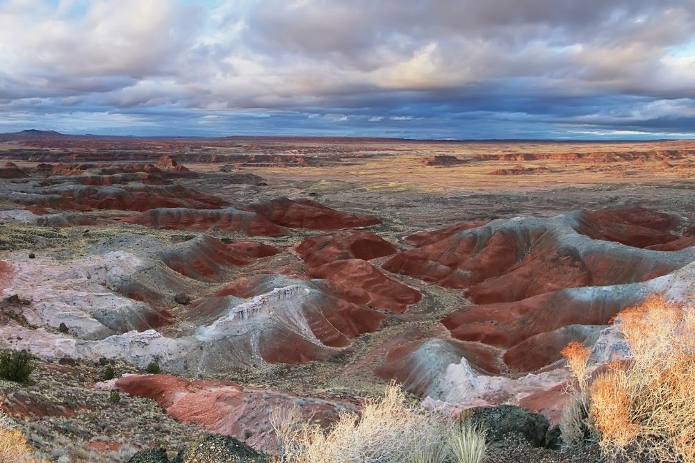 Painted Desert 