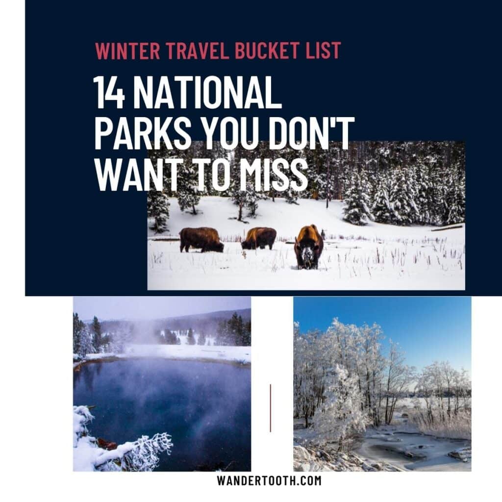 winter bucket list