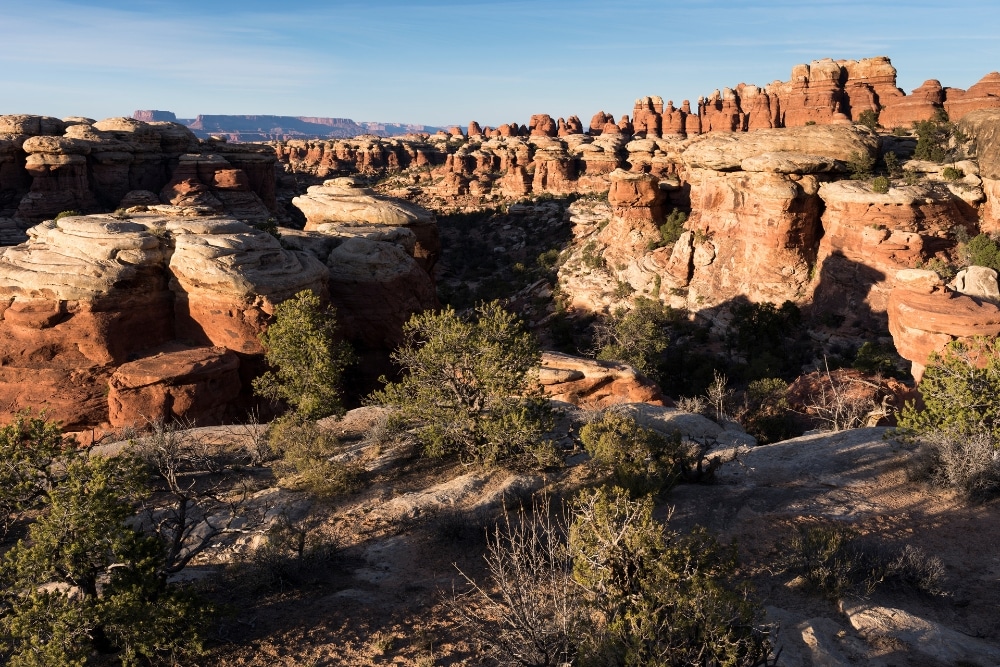 Canyonlands 