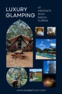 luxury glamping